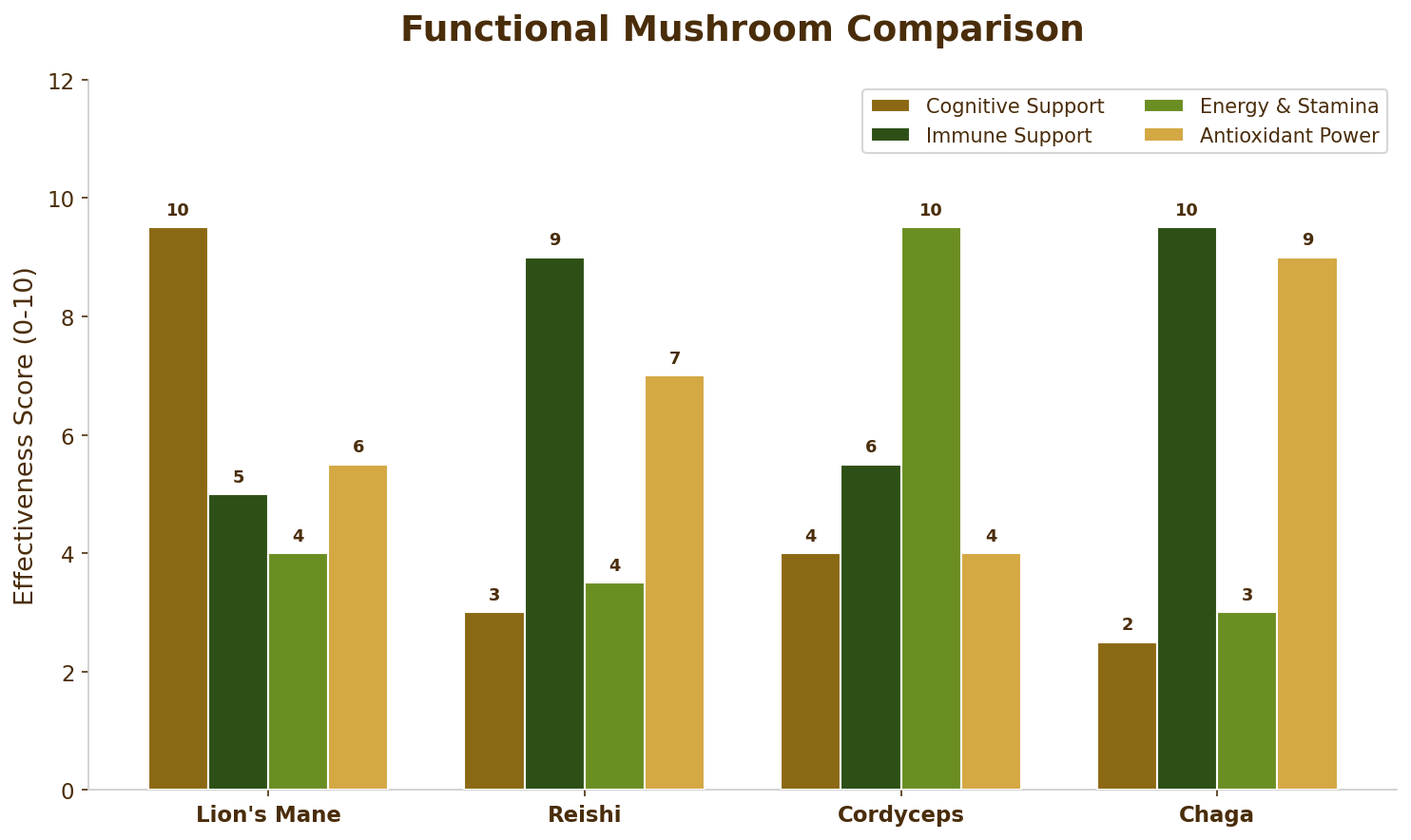 Functional Mushroom Stack Comparison