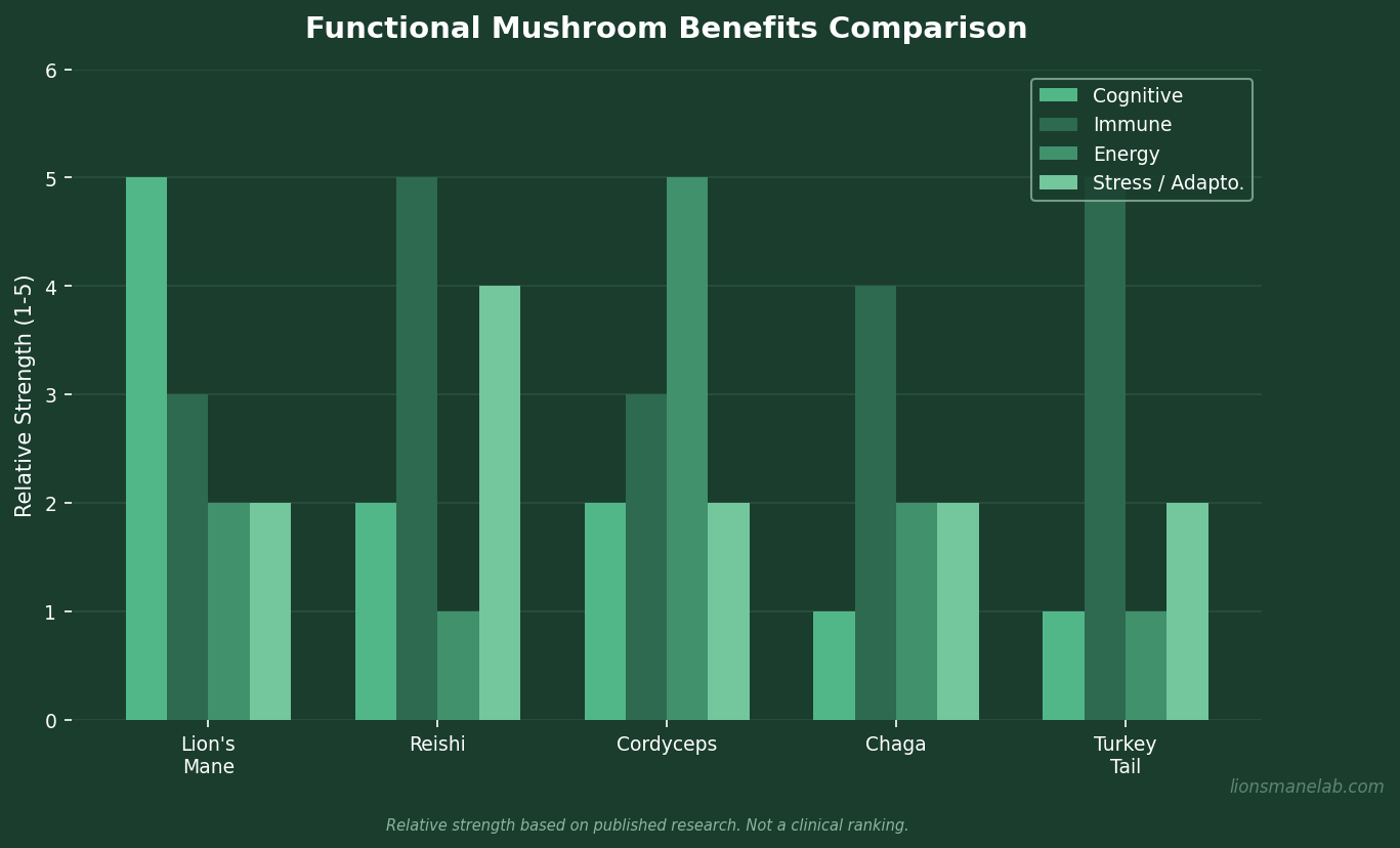 Overview chart of lion's mane mushroom benefits spanning cognitive health, immune support, nerve function, and gut health