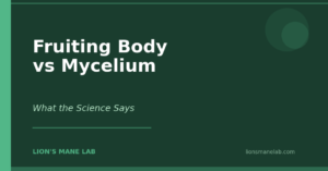 Fruiting Body vs Mycelium: What Your Label Isn't Telling You