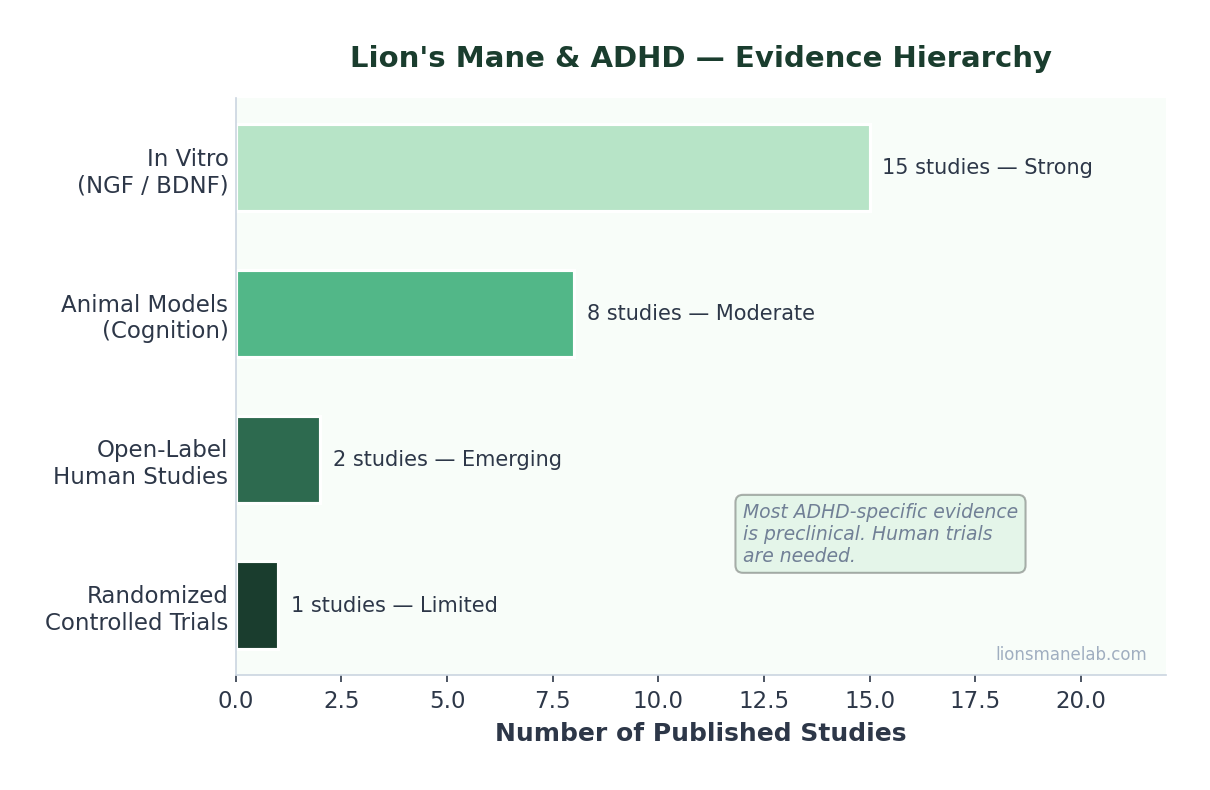 Lion's mane ADHD evidence hierarchy chart