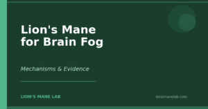 Lion's Mane for Brain Fog: What the Research Actually Says