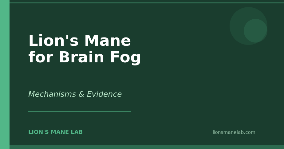 Lion's Mane for Brain Fog — Mechanisms & Evidence