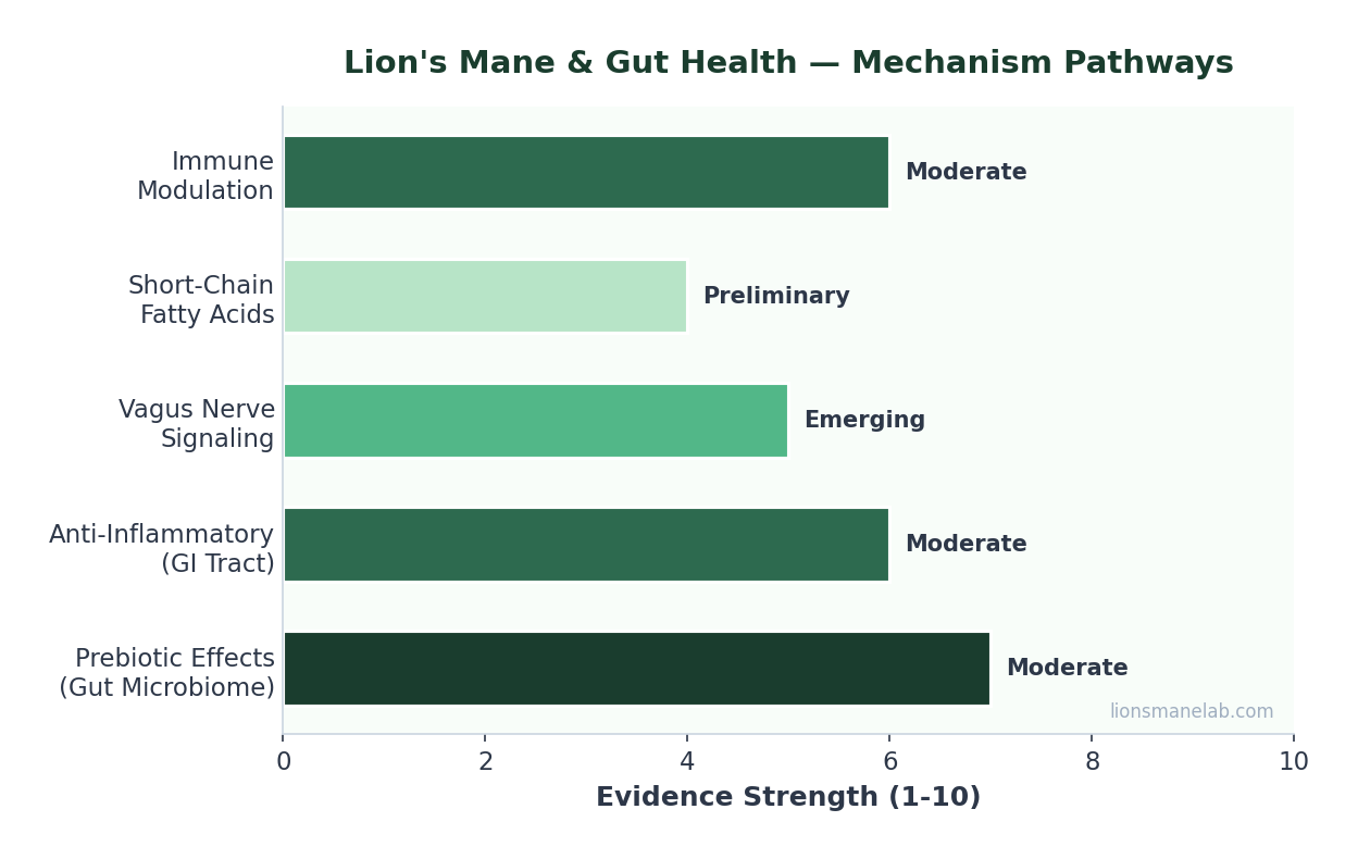 Lion's mane gut-brain axis mechanism pathways chart
